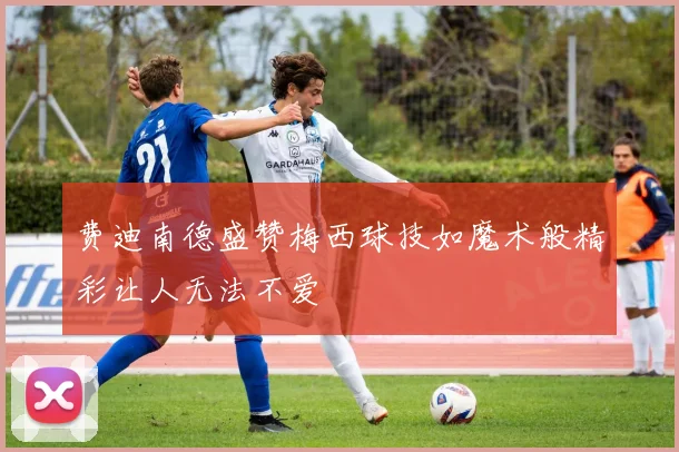 费迪南德盛赞梅西球技如魔术般精彩让人无法不爱