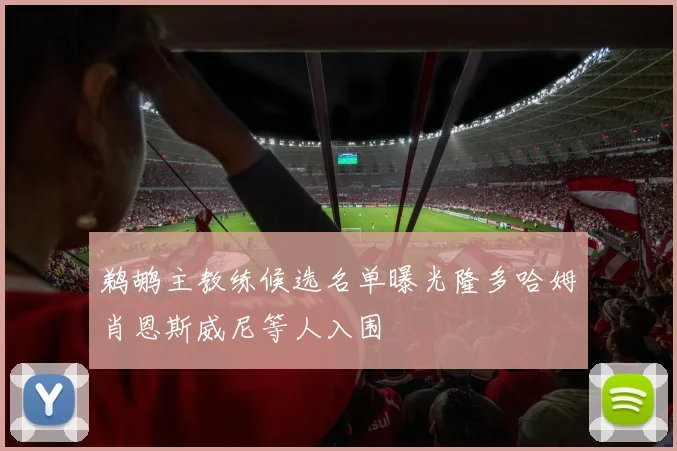 鹈鹕主教练候选名单曝光隆多哈姆肖恩斯威尼等人入围